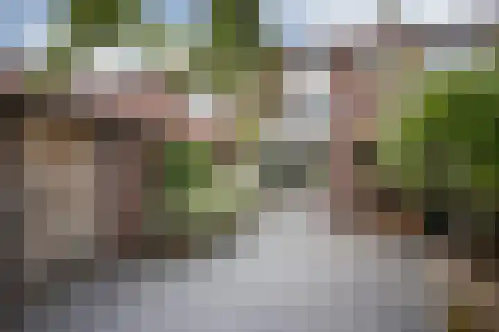 Plechelmusstraat 30 Tegelen thumbnail 36