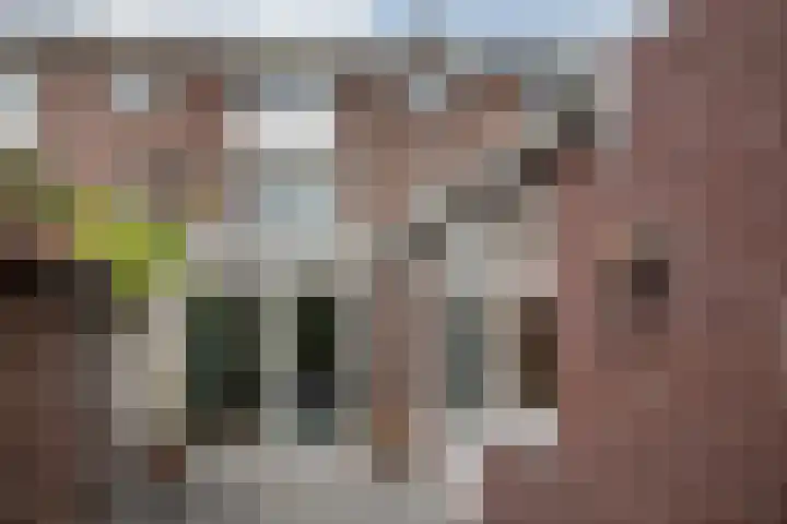 Plechelmusstraat 30 Tegelen thumbnail 38