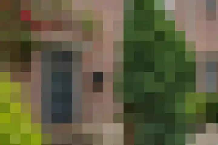 Plechelmusstraat 30 Tegelen thumbnail 39