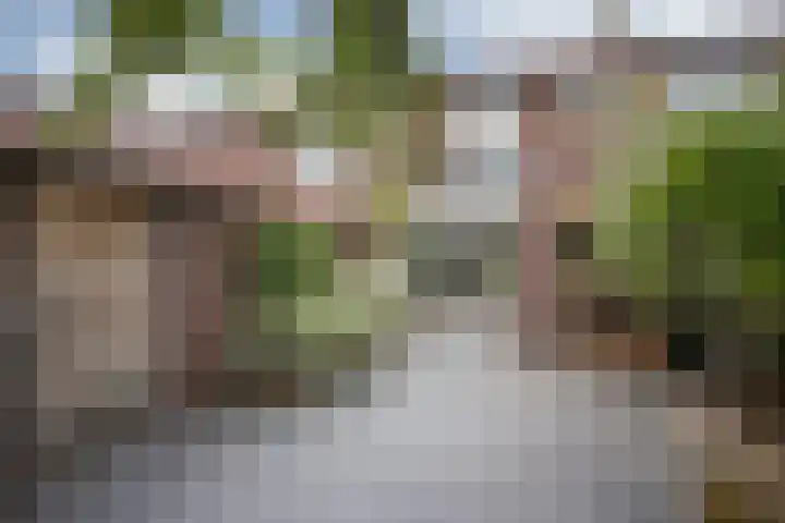 Plechelmusstraat 30 Tegelen thumbnail 5
