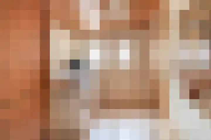 Plechelmusstraat 4 Tegelen thumbnail 13