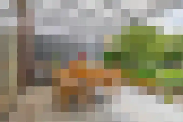 Plechelmusstraat 4 Tegelen thumbnail 32