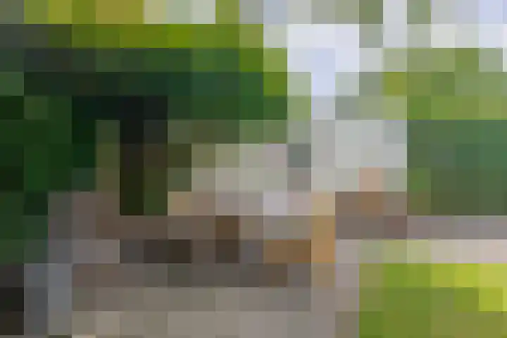 Plechelmusstraat 4 Tegelen thumbnail 37