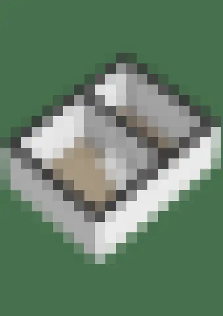 Plechelmusstraat 4 Tegelen thumbnail 44