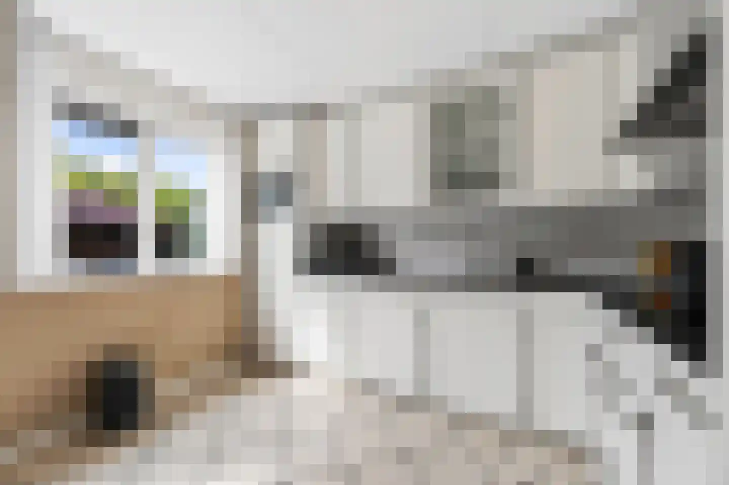 Plecht 11 Klazienaveen thumbnail 12