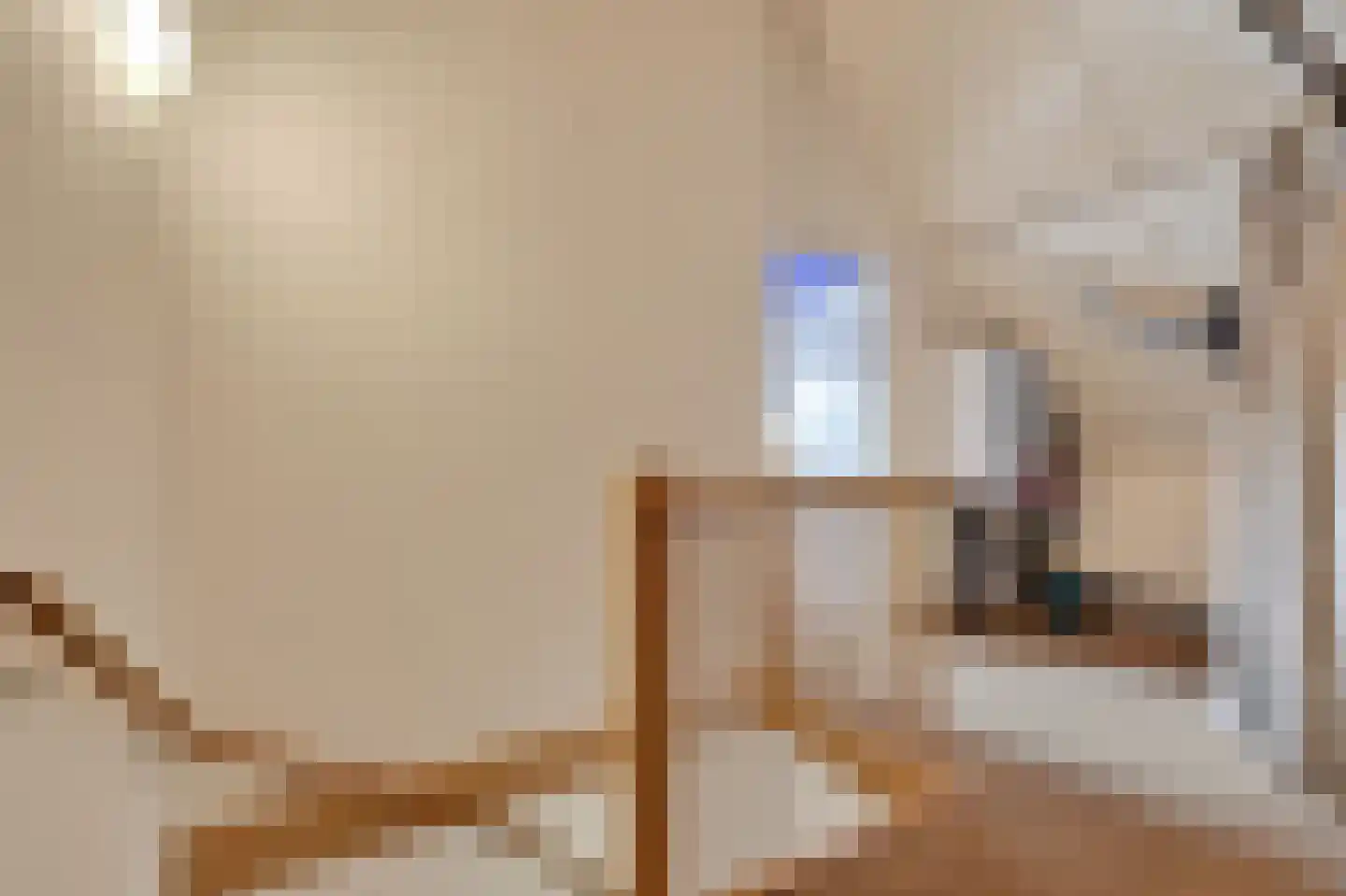 Plecht 11 Klazienaveen thumbnail 28