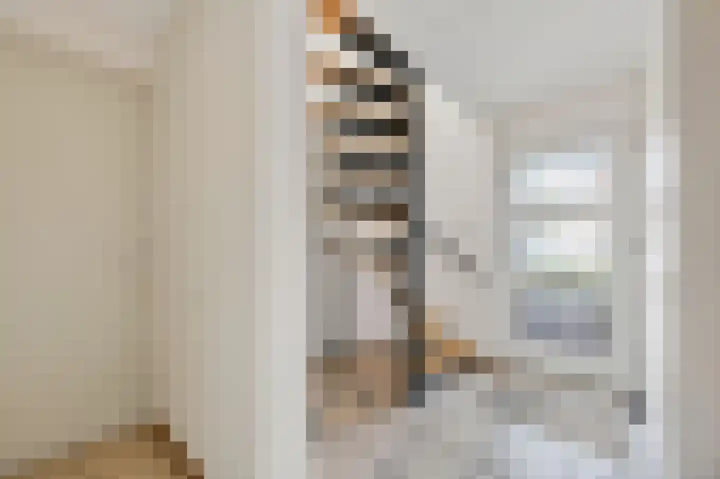 Plecht 11 Klazienaveen thumbnail 4