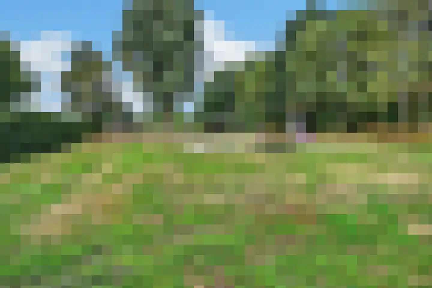 Plecht 11 Klazienaveen thumbnail 43