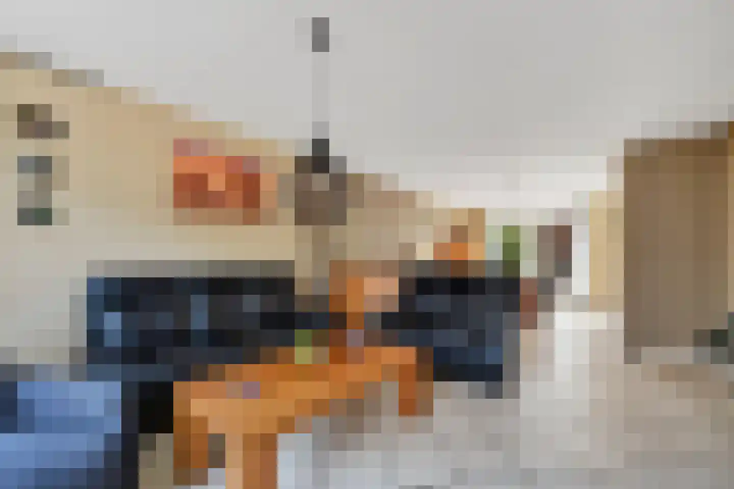 Plecht 11 Klazienaveen thumbnail 7
