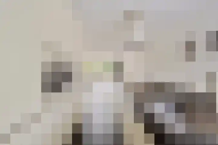 Plecht 12 Almere thumbnail 12