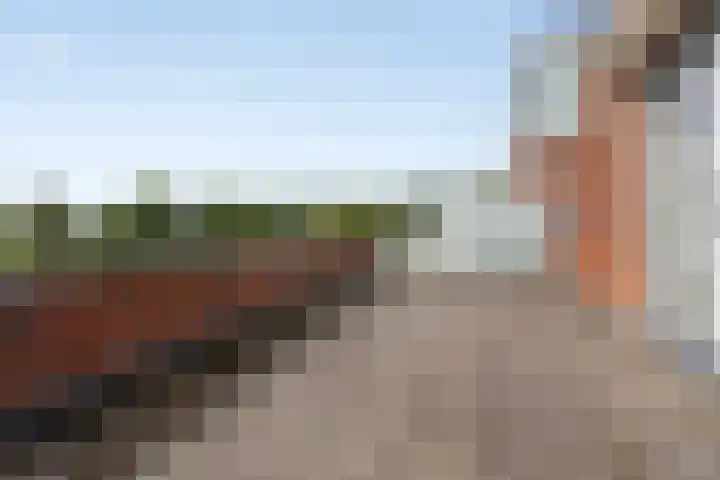Plecht 12 Almere thumbnail 16