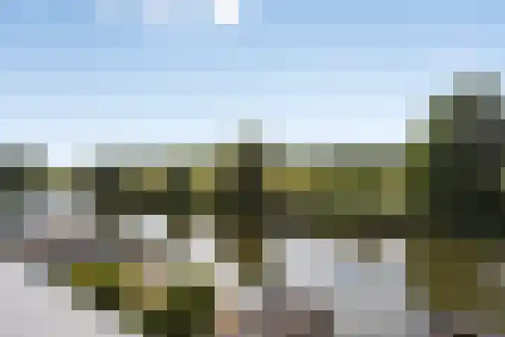 Plecht 12 Almere thumbnail 18