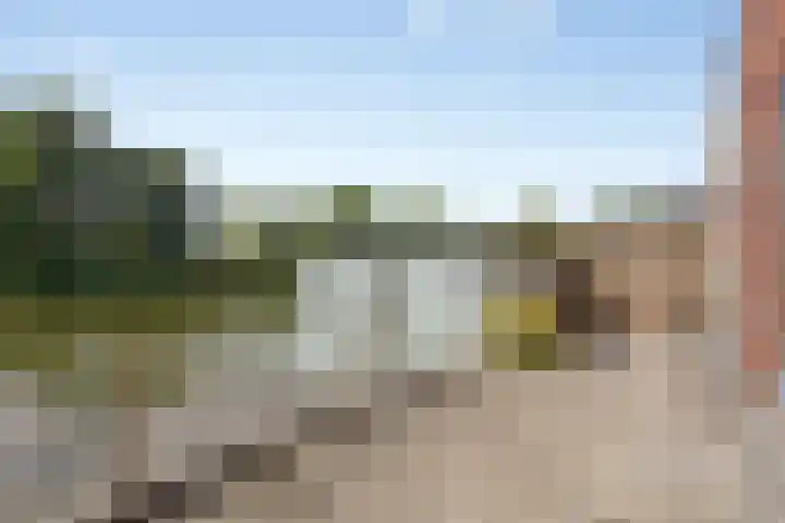 Plecht 12 Almere thumbnail 29