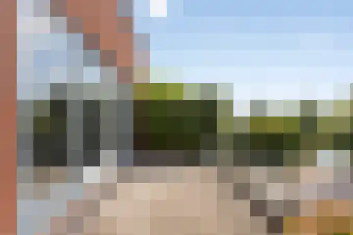 Plecht 12 Almere thumbnail 30