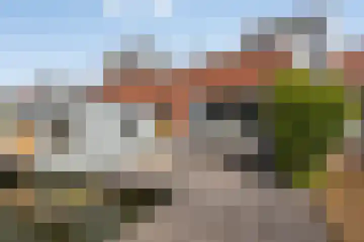 Plecht 12 Almere thumbnail 31