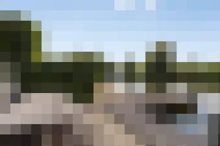 Plecht 12 Almere thumbnail 32
