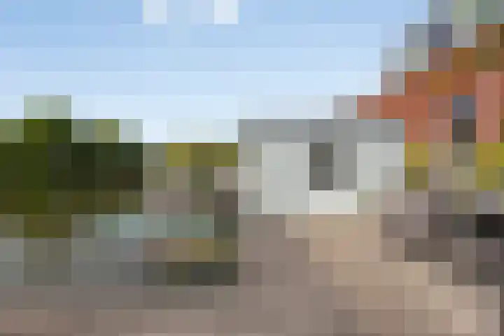 Plecht 12 Almere thumbnail 33