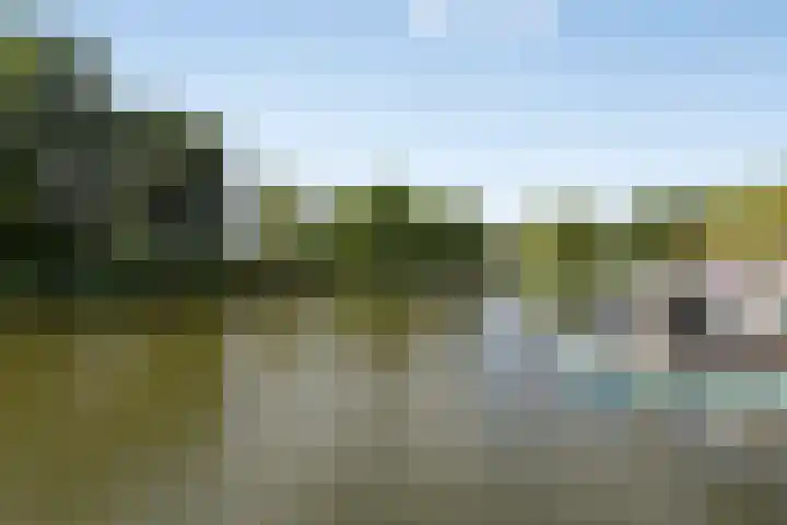 Plecht 12 Almere thumbnail 35
