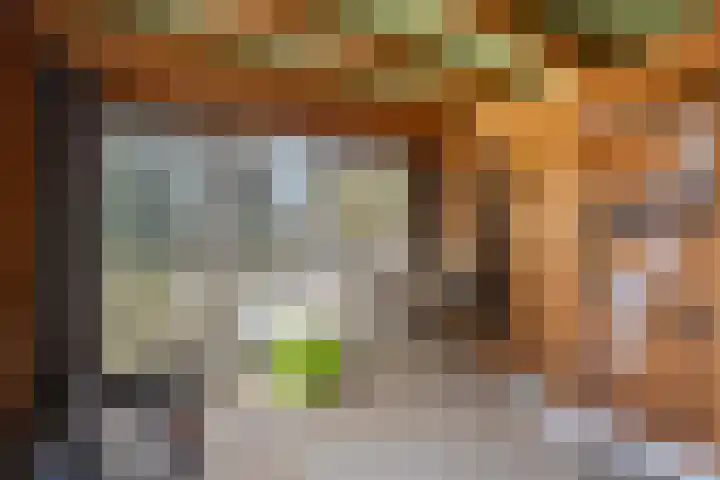 Plecht 12 Almere thumbnail 36