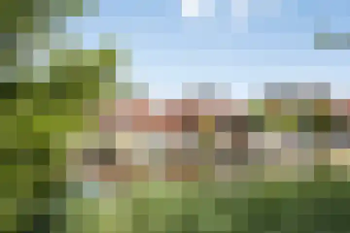 Plecht 12 Almere thumbnail 37