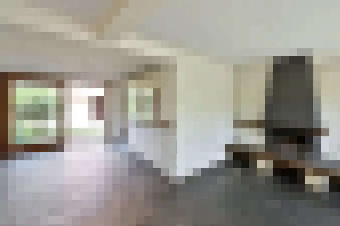 Plecht 2 Huizen foto 3