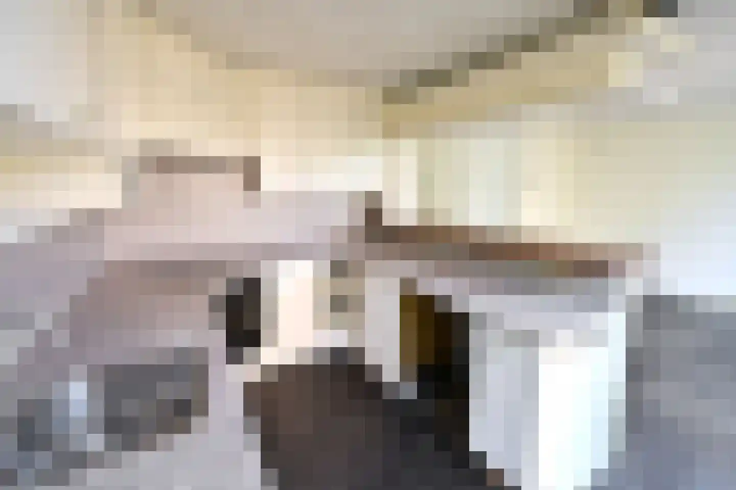Plecht 2 Huizen thumbnail 5