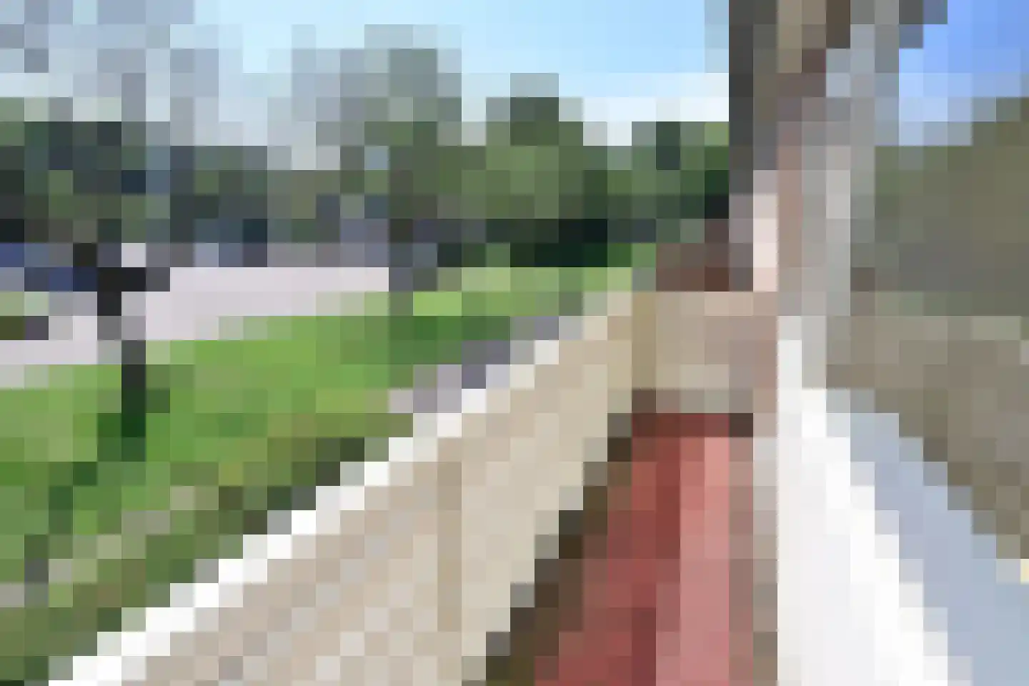 Plecht 2 Huizen thumbnail 7