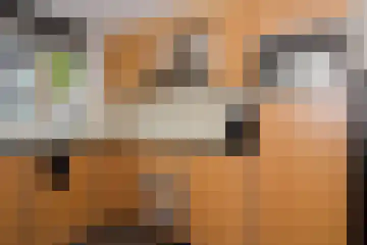 Plecht 220 Bunschoten-Spakenburg thumbnail 12