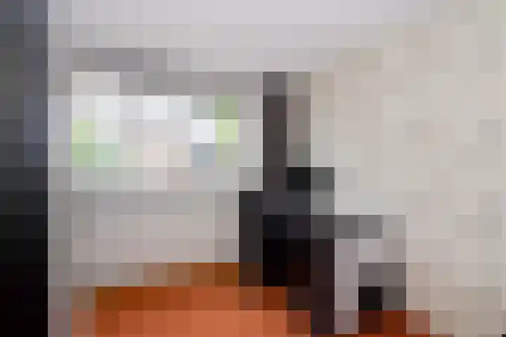 Plecht 220 Bunschoten-Spakenburg thumbnail 17