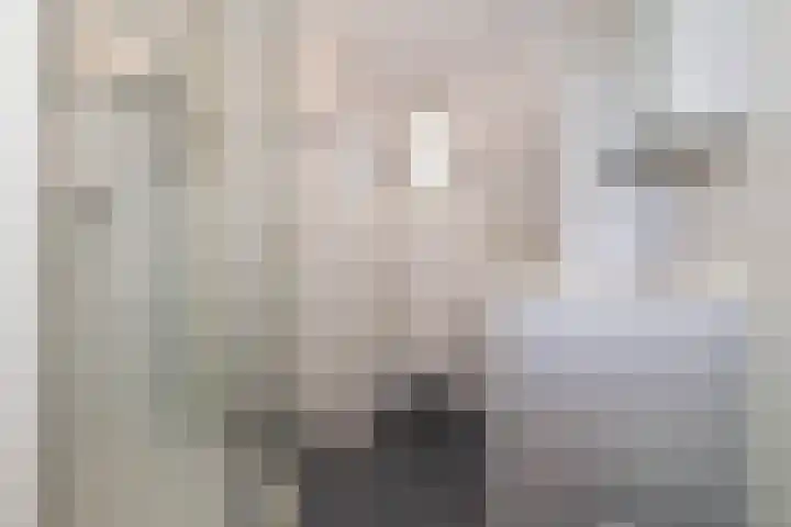 Plecht 220 Bunschoten-Spakenburg thumbnail 21