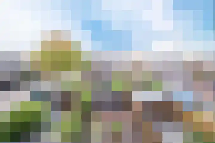 Plecht 220 Bunschoten-Spakenburg thumbnail 27