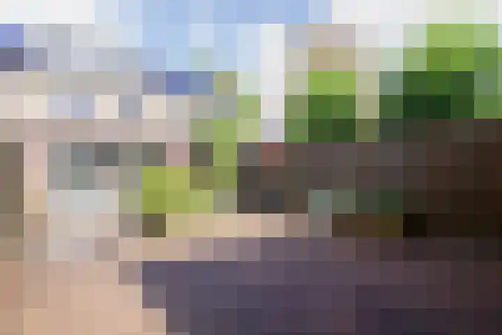 Plecht 220 Bunschoten-Spakenburg thumbnail 30