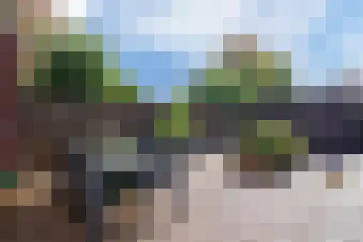 Plecht 220 Bunschoten-Spakenburg thumbnail 31