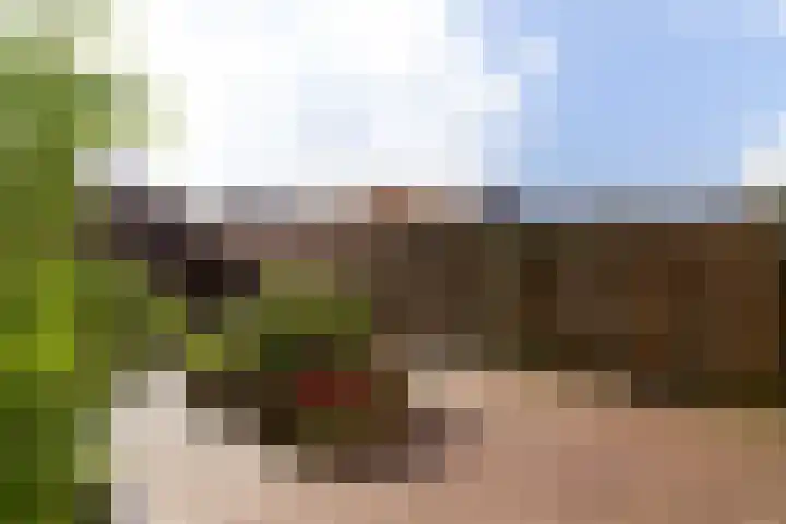 Plecht 220 Bunschoten-Spakenburg thumbnail 32