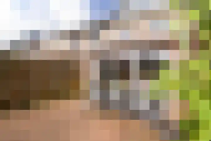 Plecht 220 Bunschoten-Spakenburg thumbnail 33