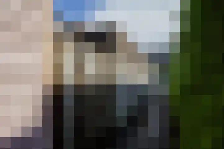 Plecht 220 Bunschoten-Spakenburg thumbnail 35
