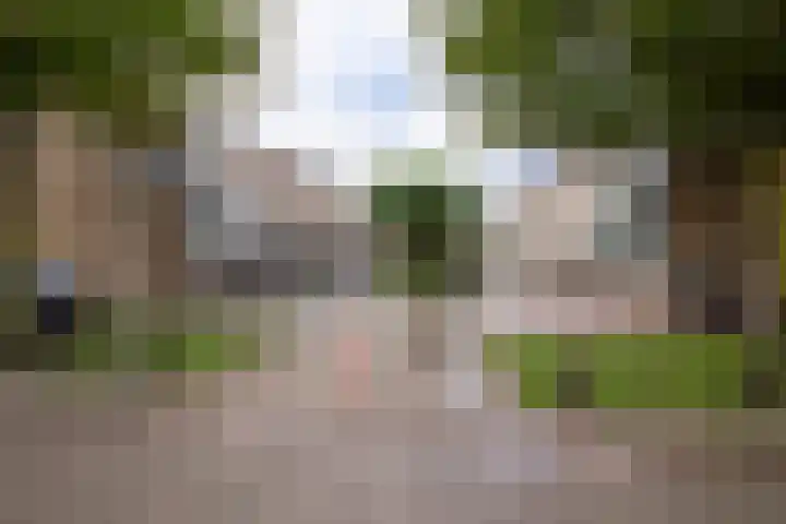 Plecht 220 Bunschoten-Spakenburg thumbnail 36