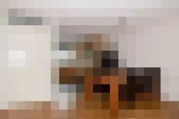 Plecht 220 Bunschoten-Spakenburg thumbnail 8
