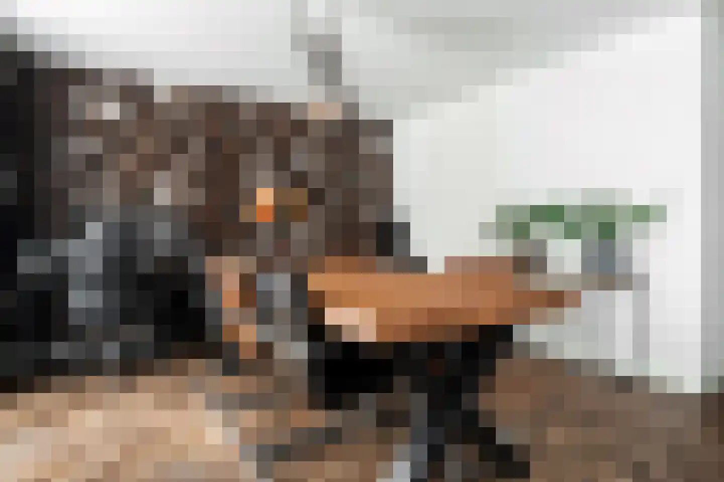 Plecht 25 Almere thumbnail 14