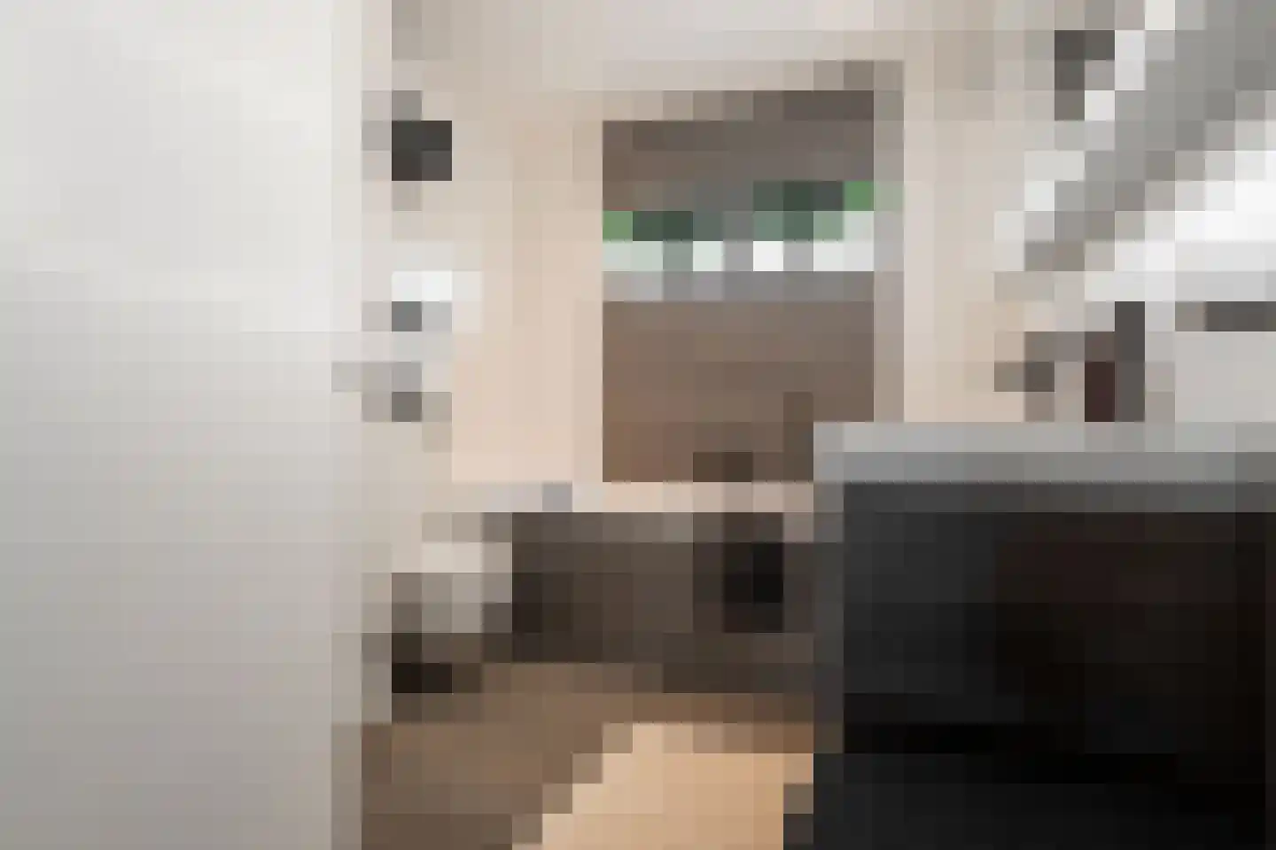 Plecht 25 Almere thumbnail 30