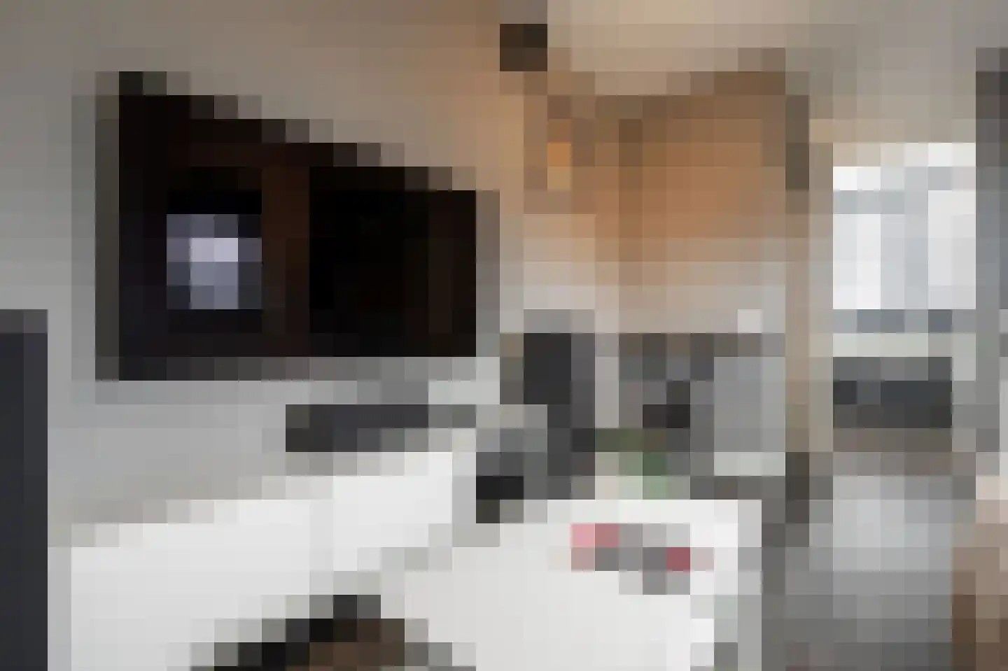 Plecht 25 Almere thumbnail 36