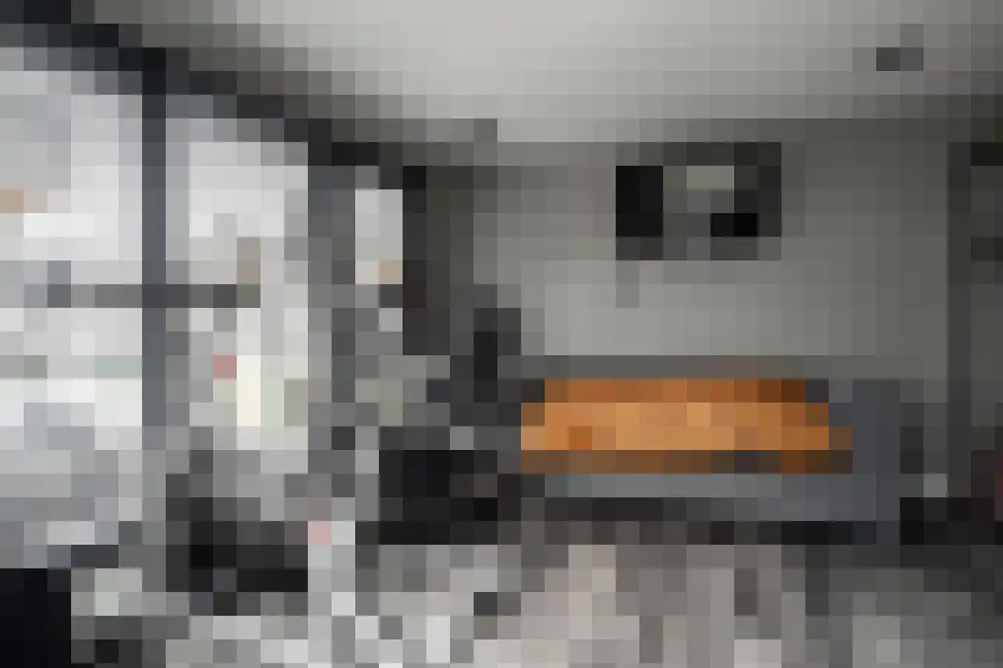 Plecht 25 Almere thumbnail 40