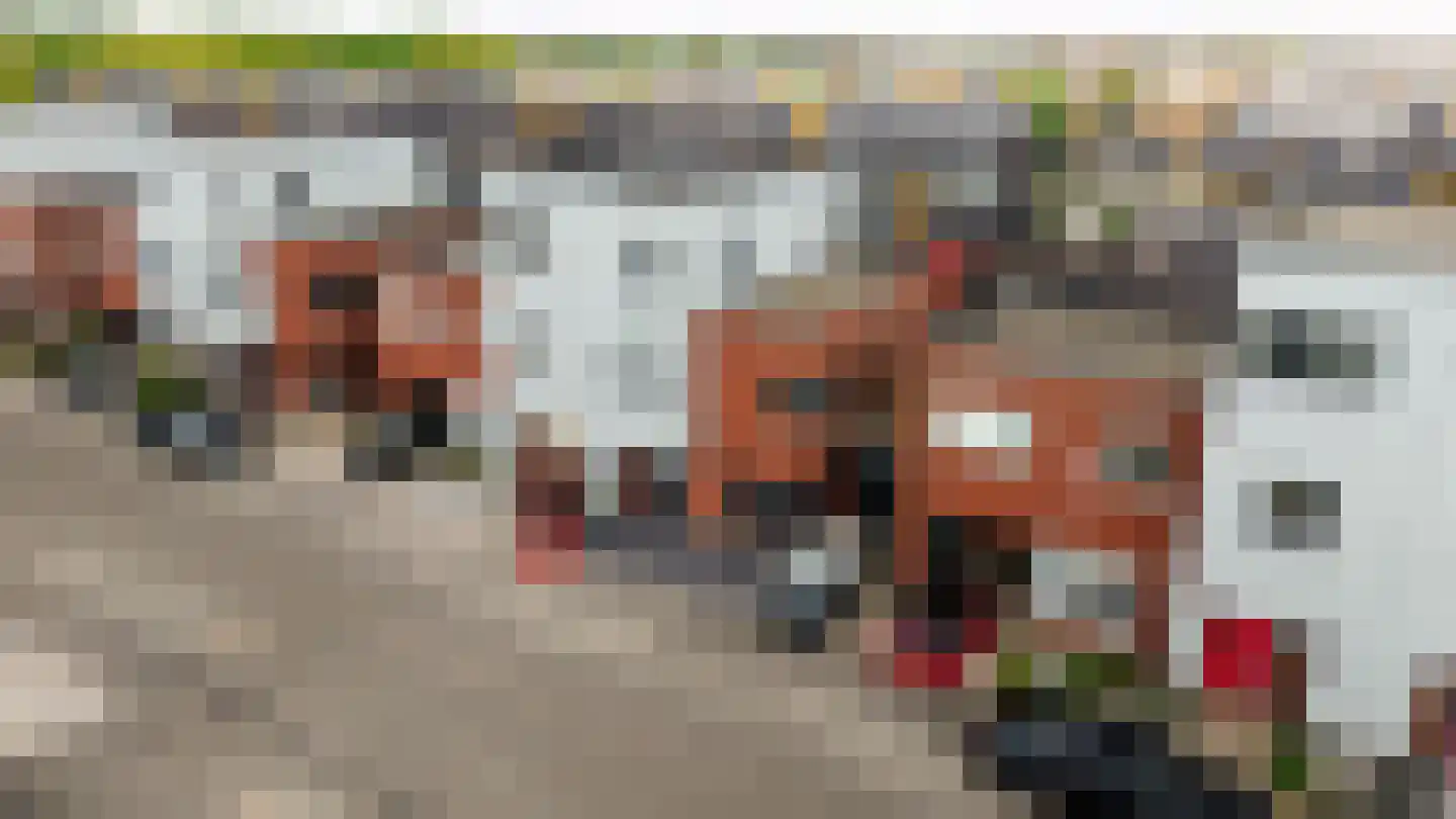 Plecht 25 Almere thumbnail 6