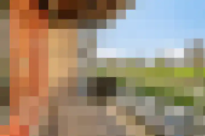 Plecht 4 Bunschoten-Spakenburg thumbnail 12