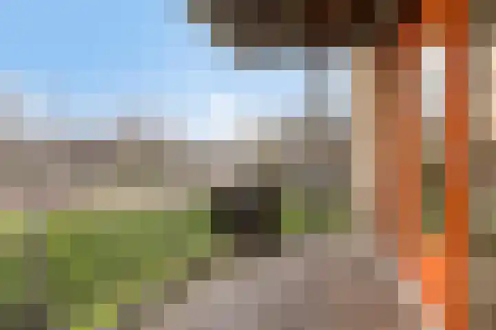 Plecht 4 Bunschoten-Spakenburg thumbnail 13