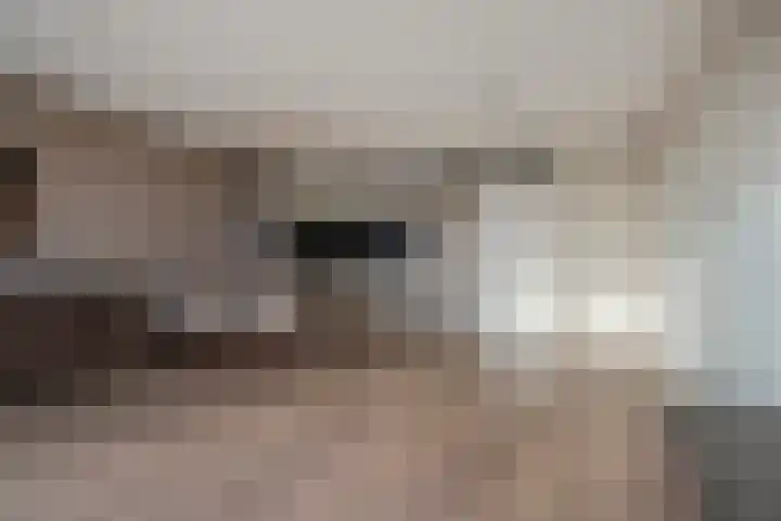 Plecht 4 Bunschoten-Spakenburg thumbnail 15