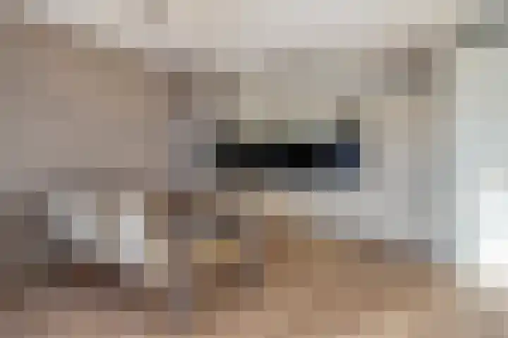 Plecht 4 Bunschoten-Spakenburg thumbnail 16