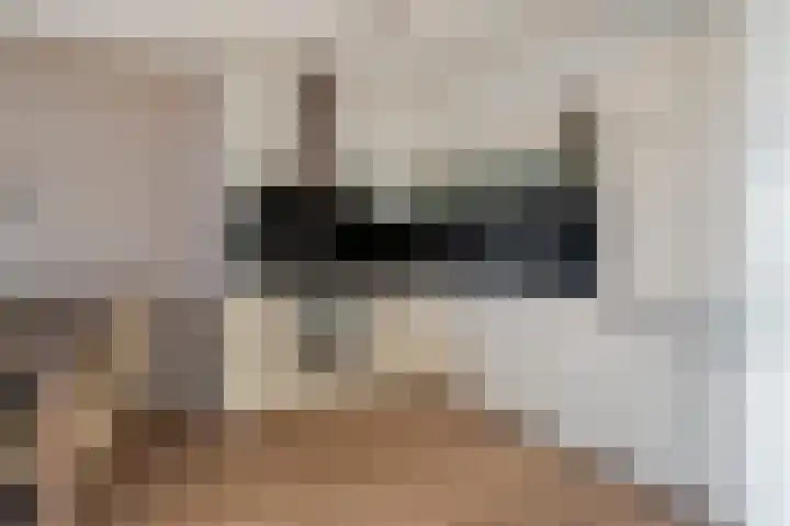 Plecht 4 Bunschoten-Spakenburg thumbnail 17