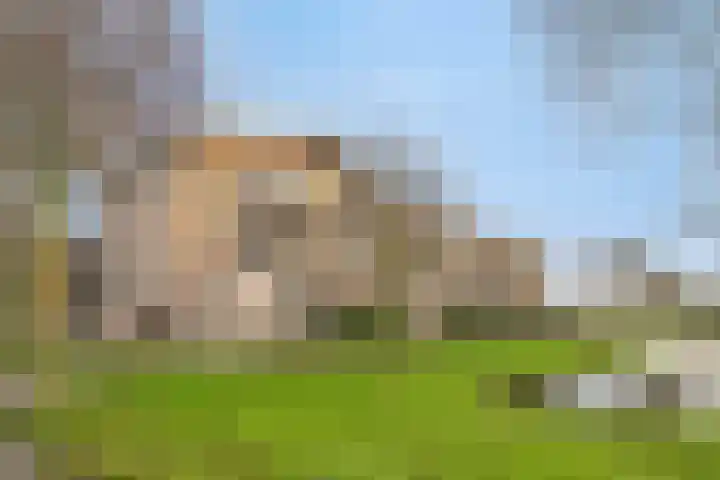 Plecht 4 Bunschoten-Spakenburg thumbnail 28