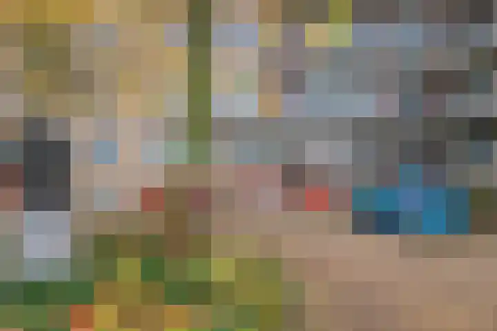 Plecht 4 Bunschoten-Spakenburg thumbnail 4